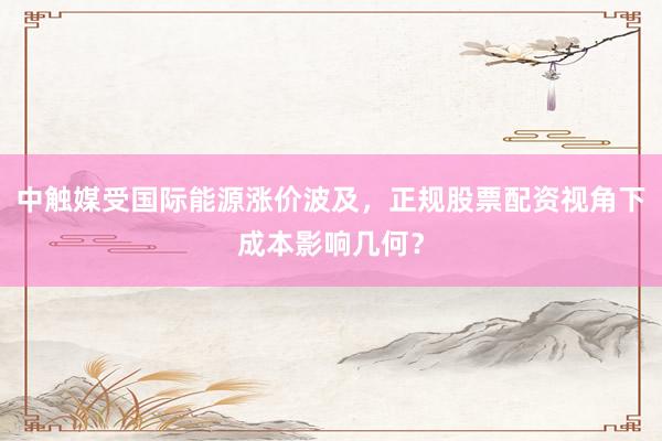 中触媒受国际能源涨价波及，正规股票配资视角下成本影响几何？